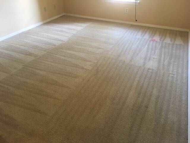 Full Carpet Restoration